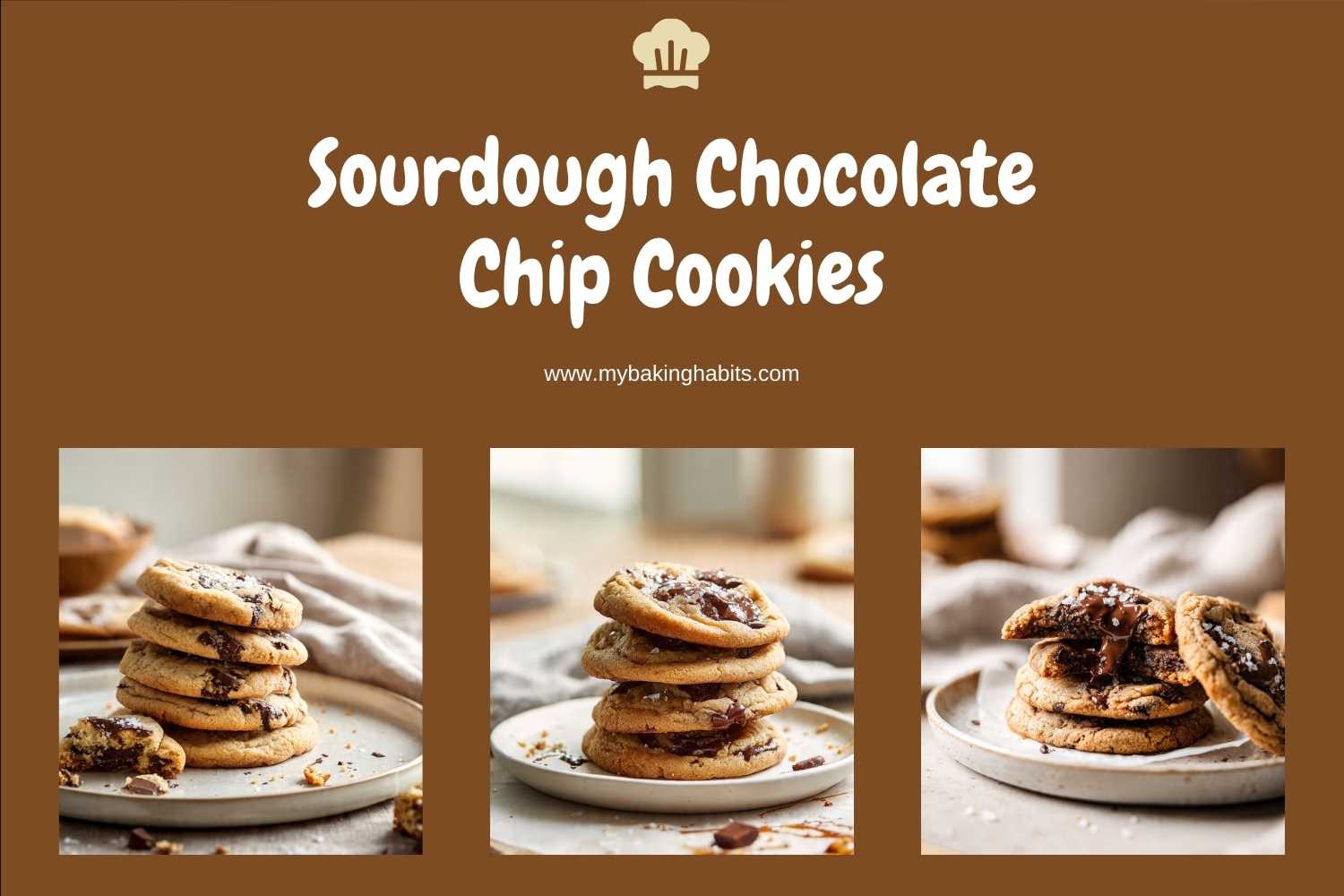 sourdough chocolate chip cookies