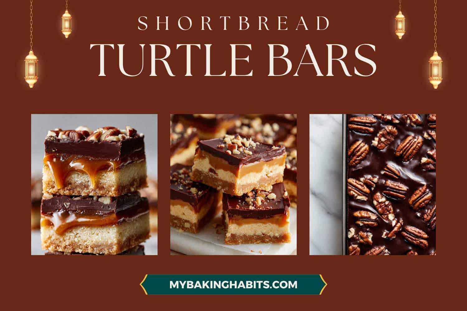 turtle bars